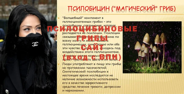 дмт Кукмор