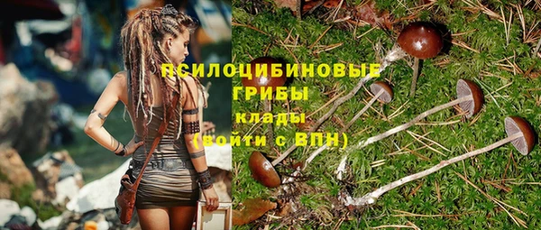 дмт Кукмор