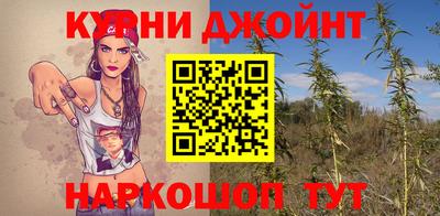 индика Донской