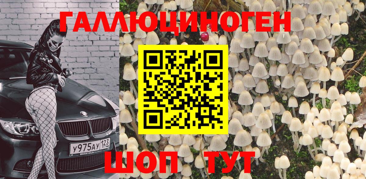 Галлюциногенные грибы Psilocybe  Вход с VPN  Прохладный  Псилоцибиновые грибы GOLDEN TEACHER 